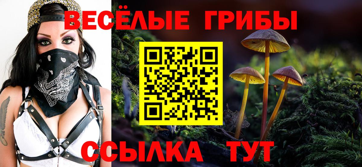 цена наркотик  Вход с VPN  Чапаевск  Псилоцибиновые грибы GOLDEN TEACHER  Галлюциногенные грибы мухоморы 